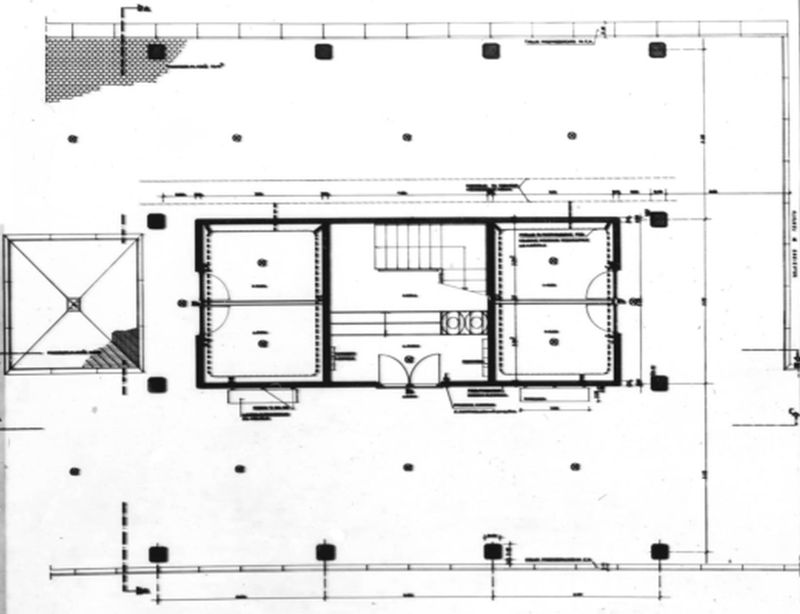 Pianta case in linea