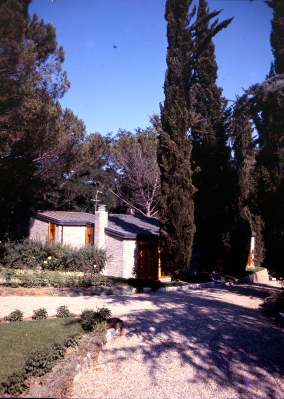 Vista con alberi del giardino