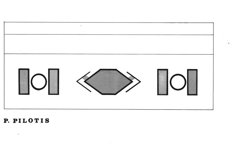 Schema distributivo piano pilotis