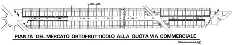 Mercato ortofrutticolo: pianta alla quota via commerciale