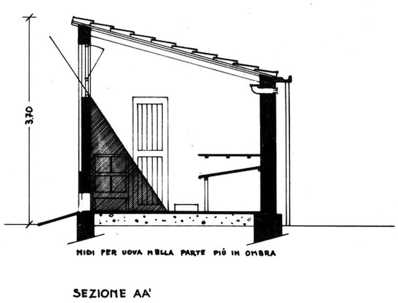 Pollaio. Sezione