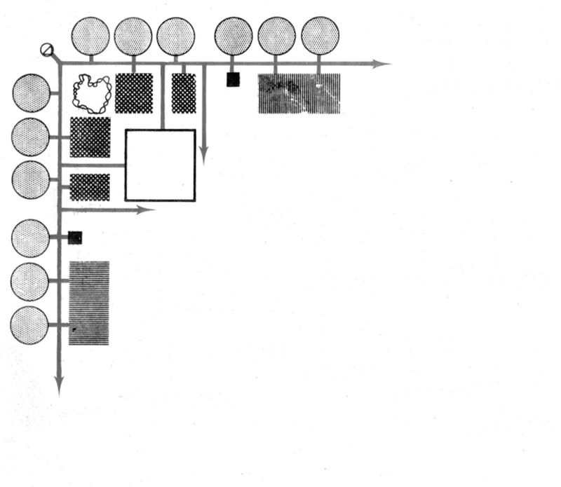 Guidance school. Modello classico. 12 aule. Schema distributivo